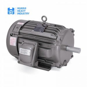 Explosion-proof Electric Motor