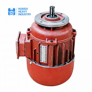 Electric Rotor Motor